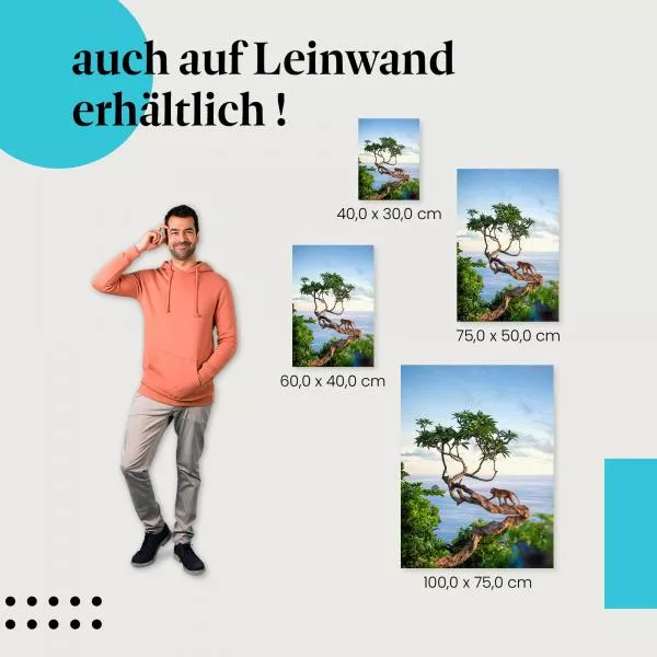 Affe am Meer | Postereck 3211 Affe am Meer | Postereck 3211