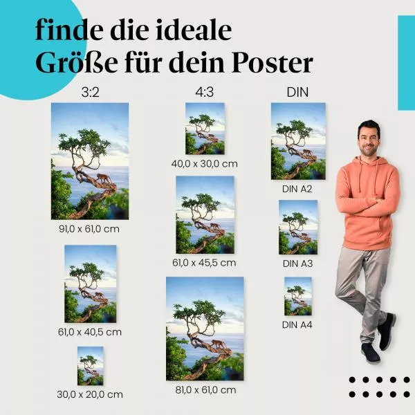 Affe am Meer | Postereck 3211 Affe am Meer | Postereck 3211
