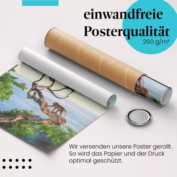 Affe am Meer | Postereck 3211 Affe am Meer | Postereck 3211
