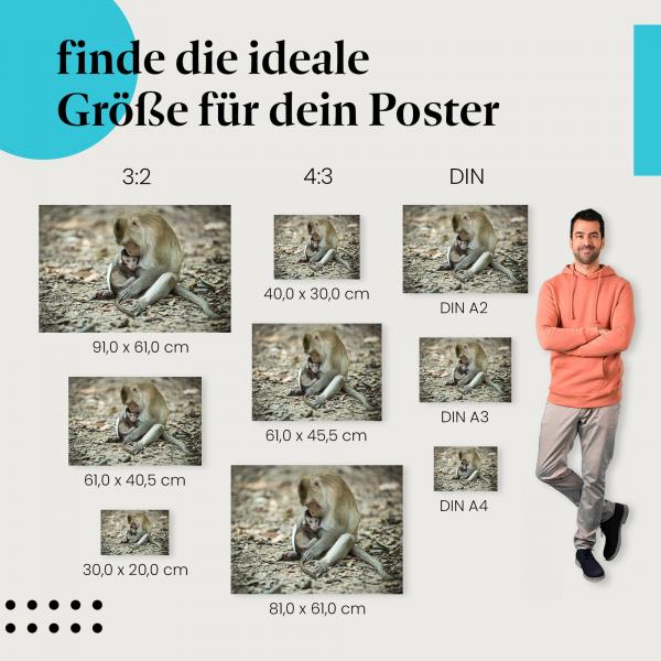 "Affenmutter und Baby" Poster: verschiedene Grössen für dieses herzerwärmende Motiv. Finde deine!