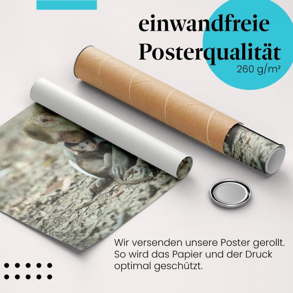 Gerolltes Poster "Affenmutter mit Baby". Liebevolle Szene aus der Natur, sicher verpackt.