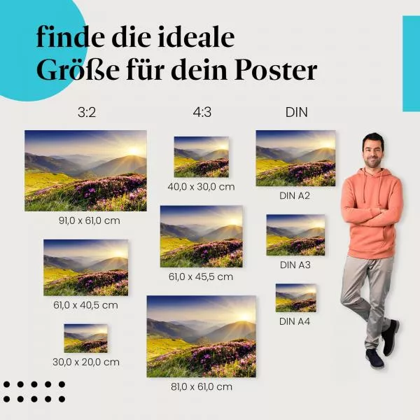 Magische Bergwelt: Alpenrosen | Postereck 1439 Magische Bergwelt: Alpenrosen | Postereck 1439