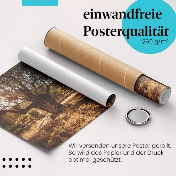 Alter Olivenbaum | Postereck 1444 Alter Olivenbaum | Postereck 1444