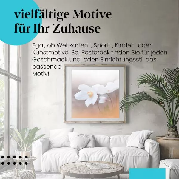 Anemonenblüten | Postereck 4027 Anemonenblüten | Postereck 4027