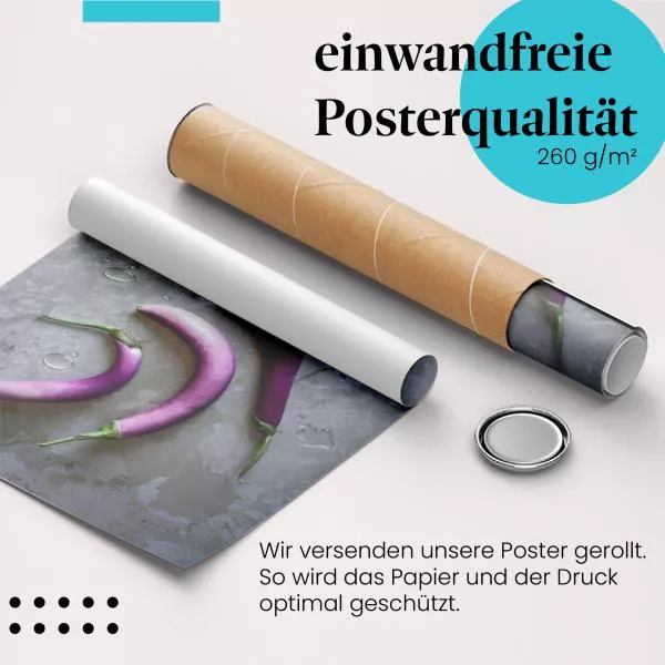 Lila Auberginen | Postereck 3674