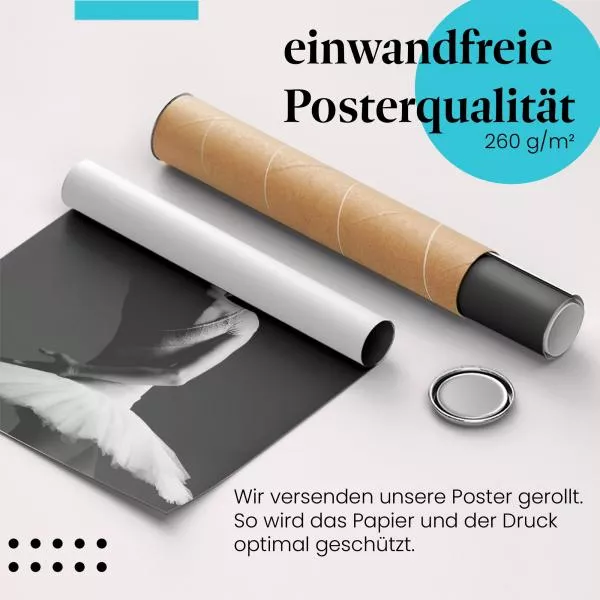 Anmut und Grazie: Ballerina | Postereck 1268 Anmut und Grazie: Ballerina | Postereck 1268