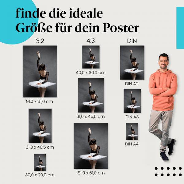 Ballerina, Poster: Rückenansicht, schwarz, weiß, Pose.