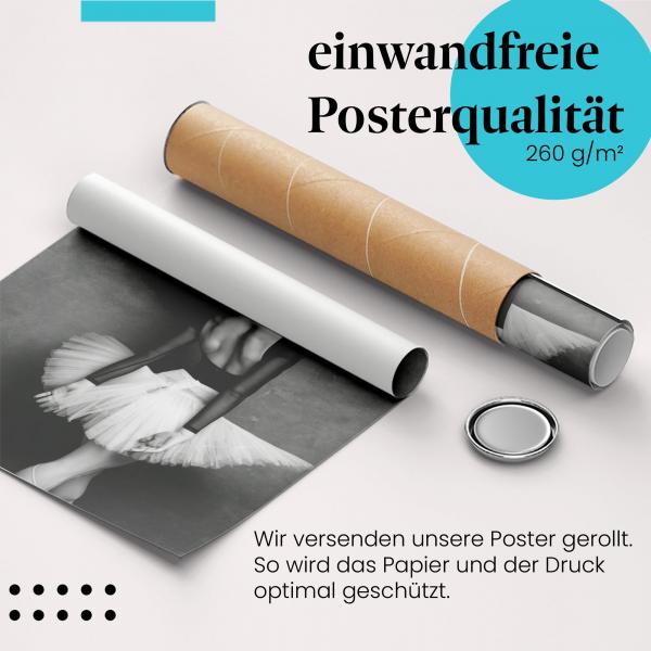 Gerolltes Poster "Ballerina". Eleganz & Tanz, sicher verpackt.