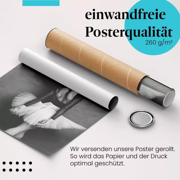 Ballerina in Schwarz-Weiß | Postereck 3381