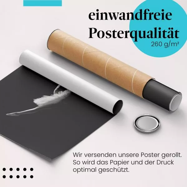 Im Flug: Dynamischer Sprung einer Ballerina | Postereck 0016