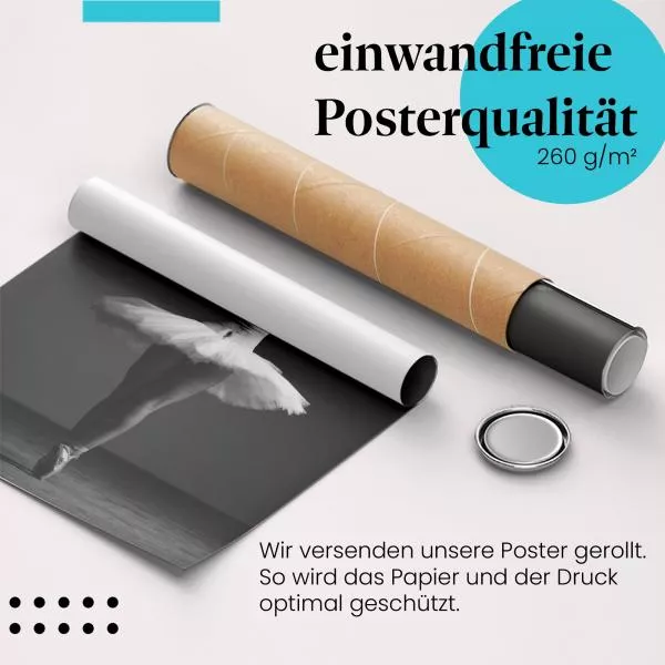 Ballerina im Tutu | Postereck 1219 Ballerina im Tutu | Postereck 1219