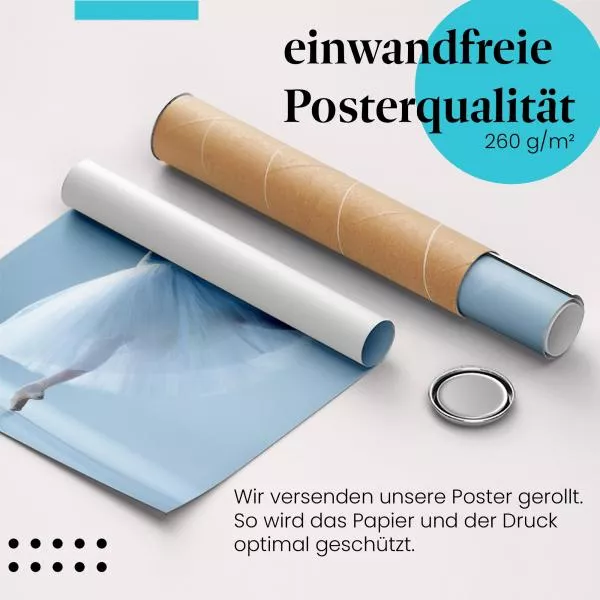 Anmut und Grazie: Balletttänzerin | Postereck 1009 Anmut und Grazie: Balletttänzerin | Postereck 1009