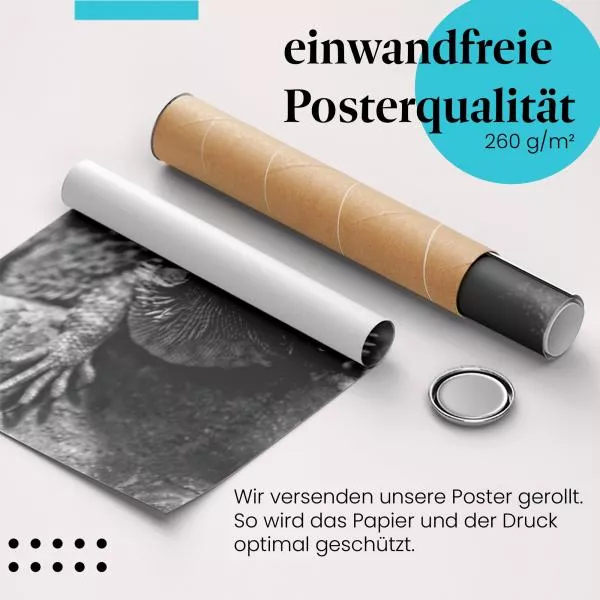 Bartagame | Postereck 3400