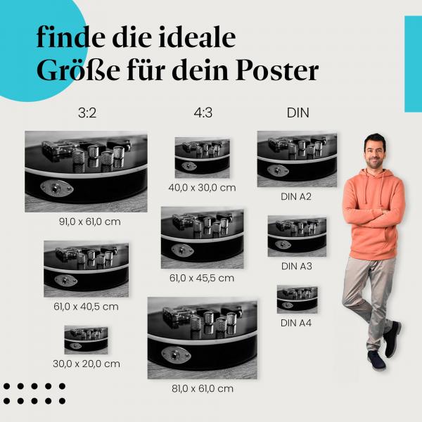 E-Bass, Poster: Hals, Regler, schwarz-weiß, glänzend.