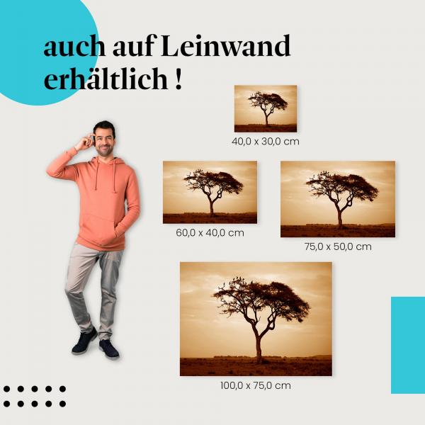 Savanne: Leinwandbild. Baum, Sonnenuntergang.