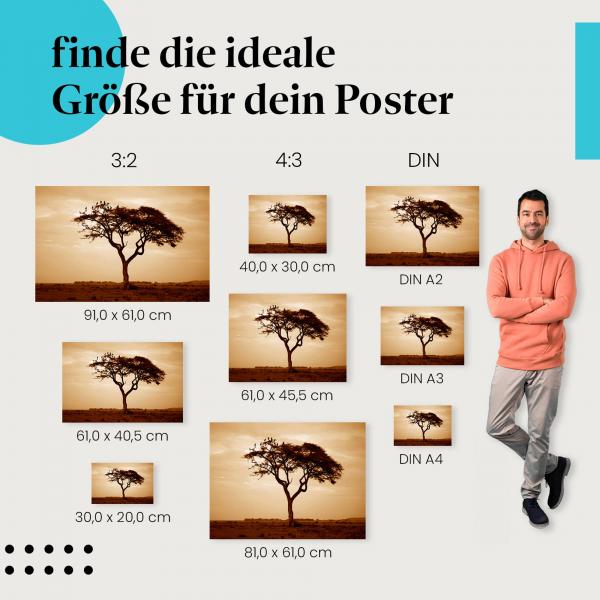 Savanne, Poster: Baum, Sonnenuntergang, Vögel.
