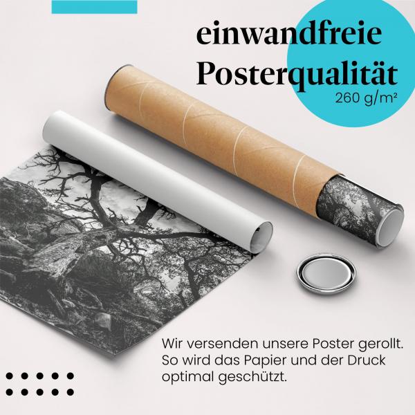 Gerolltes Poster "Baum". Natur & Vergänglichkeit, sicher verpackt.