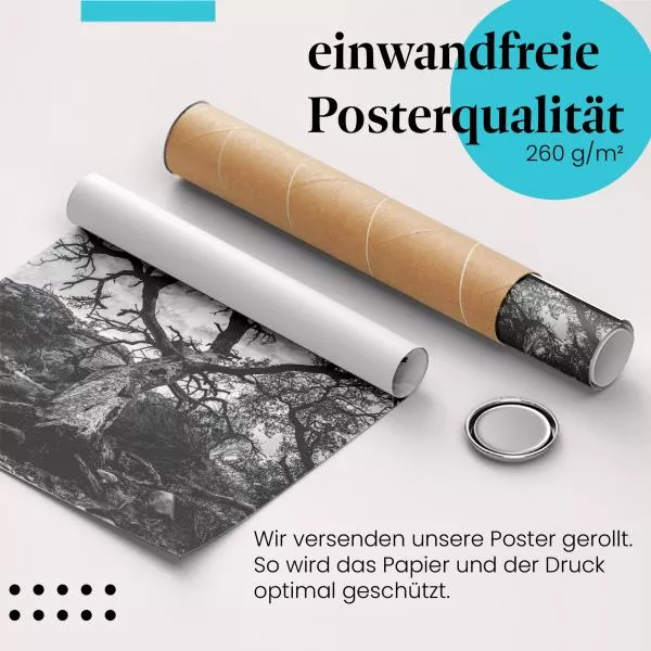 Abgestorbener Baum | Postereck 3515 Abgestorbener Baum | Postereck 3515