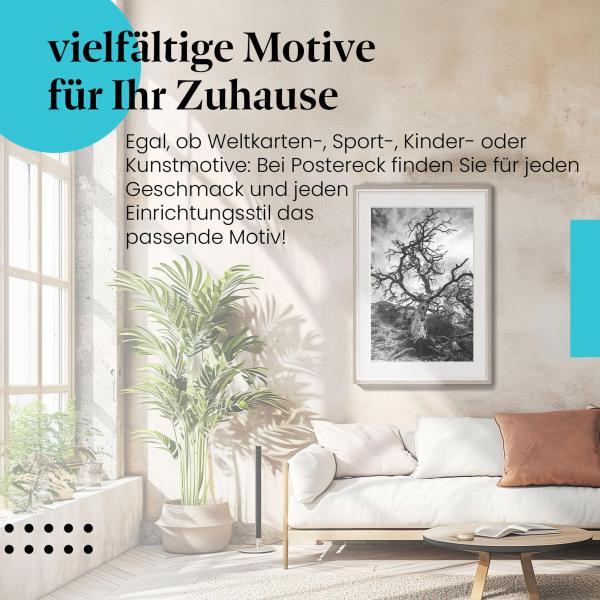 Leinwandbild "Baum": Schwarz-Weiß, knorrig, dramatisch - Kraft der Natur.