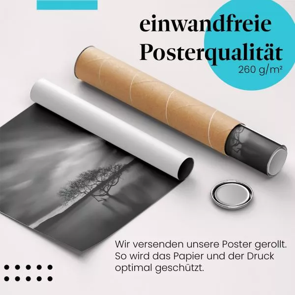 Baum im Sturm | Postereck 3764 Baum im Sturm | Postereck 3764