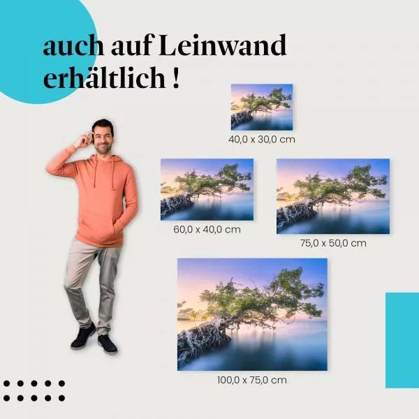 Baum im Wasser | Postereck 3122 Baum im Wasser | Postereck 3122