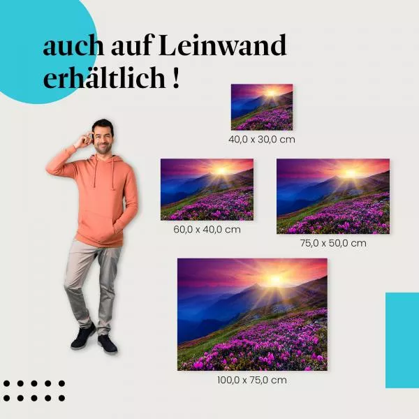 Sonnenuntergang: Bergwiese & Alpenrosen | Postereck 1440 Sonnenuntergang: Bergwiese & Alpenrosen | Postereck 1440