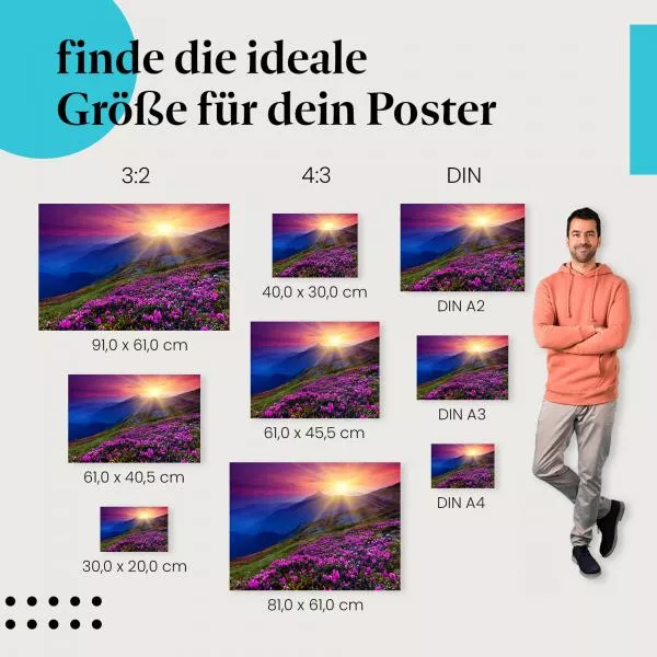 Sonnenuntergang: Bergwiese & Alpenrosen | Postereck 1440 Sonnenuntergang: Bergwiese & Alpenrosen | Postereck 1440