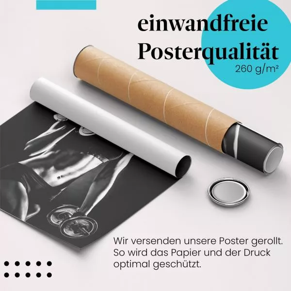 Bizepstraining | Postereck 3535 Bizepstraining | Postereck 3535