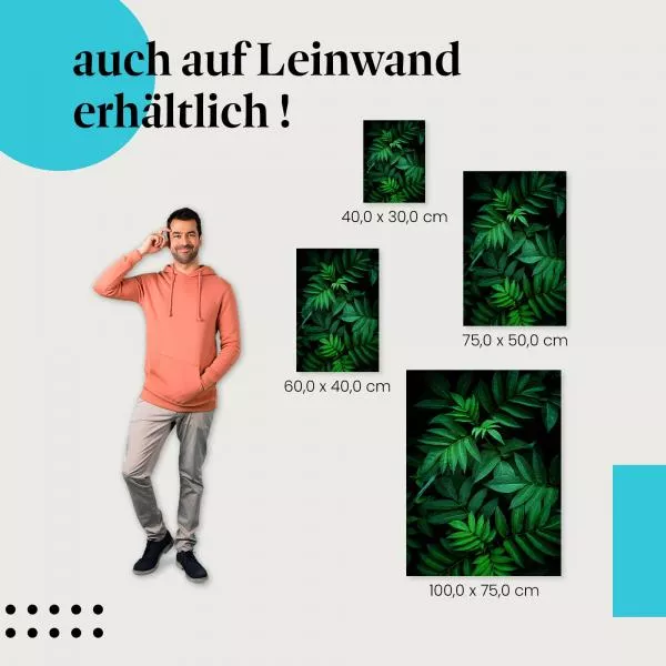Mystischer Wald | Postereck 2820
