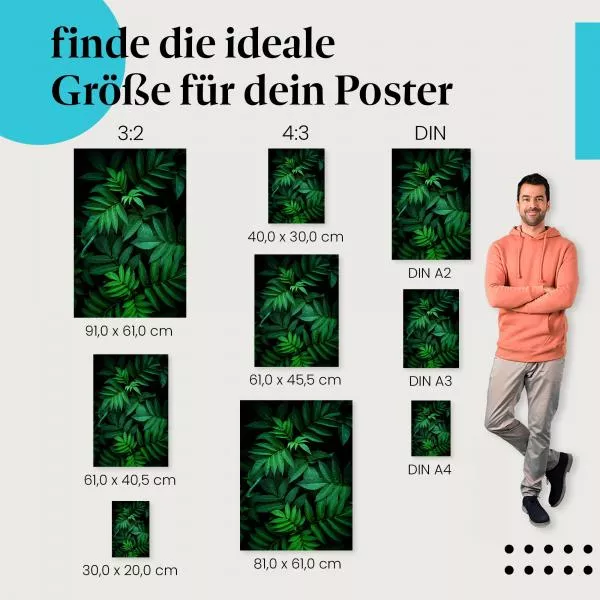 Mystischer Wald | Postereck 2820