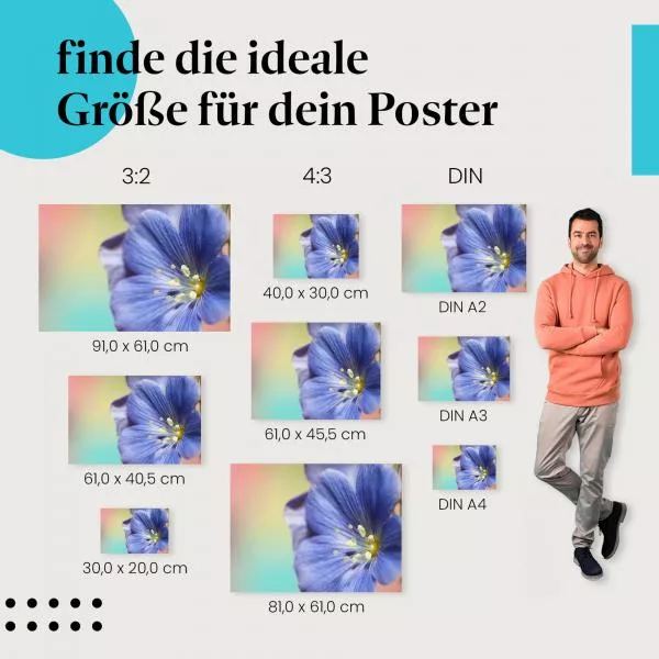Blaue Blume Makro | Postereck 2582 Blaue Blume Makro | Postereck 2582