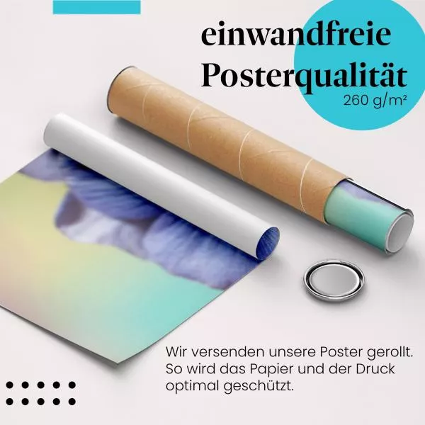 Blaue Blume Makro | Postereck 2582 Blaue Blume Makro | Postereck 2582
