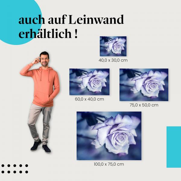 Leinwandbild "Zarte Schönheit": Faszinierende Schönheit der Natur