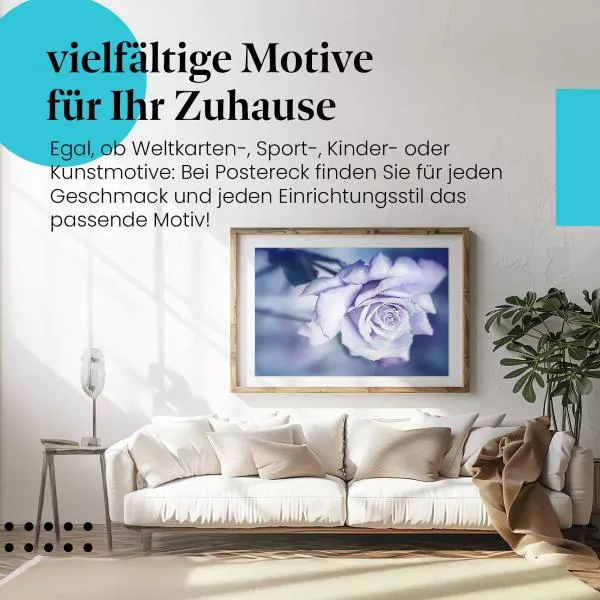 Blaue Rose im Morgentau | Postereck 1330 Blaue Rose im Morgentau | Postereck 1330