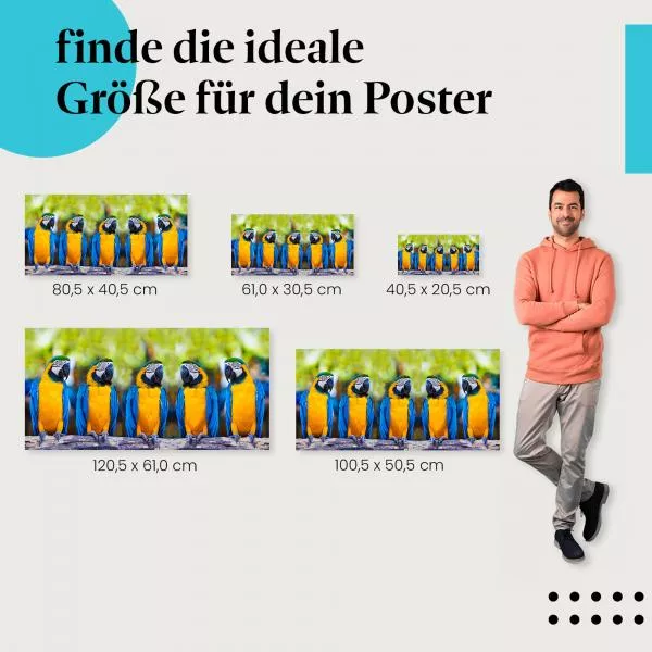 Blaugelbe Aras | Postereck 3578 Blaugelbe Aras | Postereck 3578