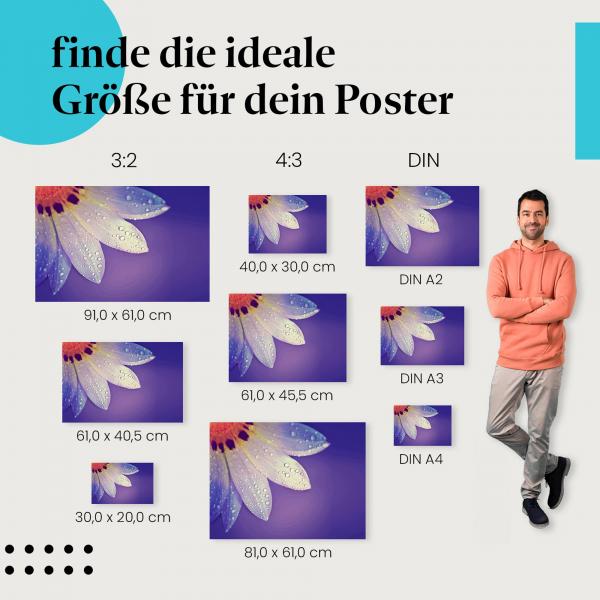 "Zarte Blüte": Poster - Blütenblätter & Wassertropfen in Pastellfarben