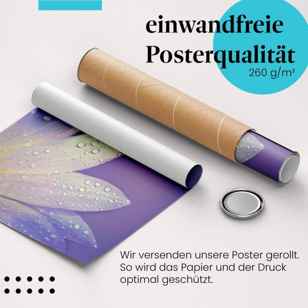 "Blüte, Tautropfen": Gerolltes Poster - zart.