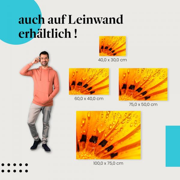 Leinwandbild "Leuchtende Blume": Farbenpracht & Schönheit der Natur
