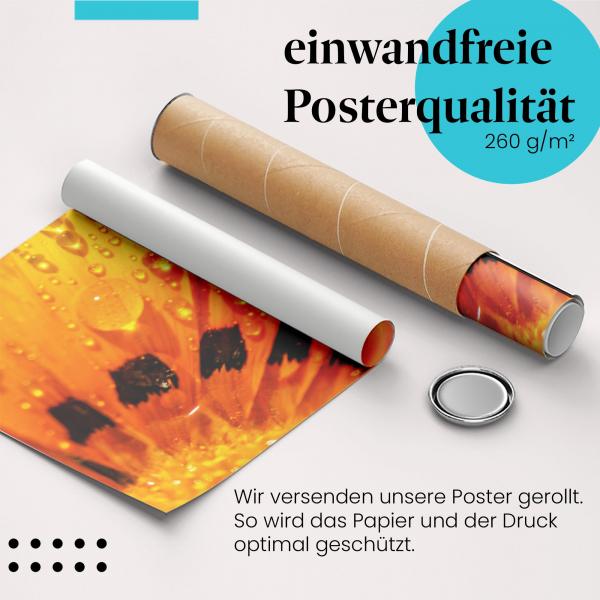 "Blume, Tautropfen": Gerolltes Poster - leuchtend.