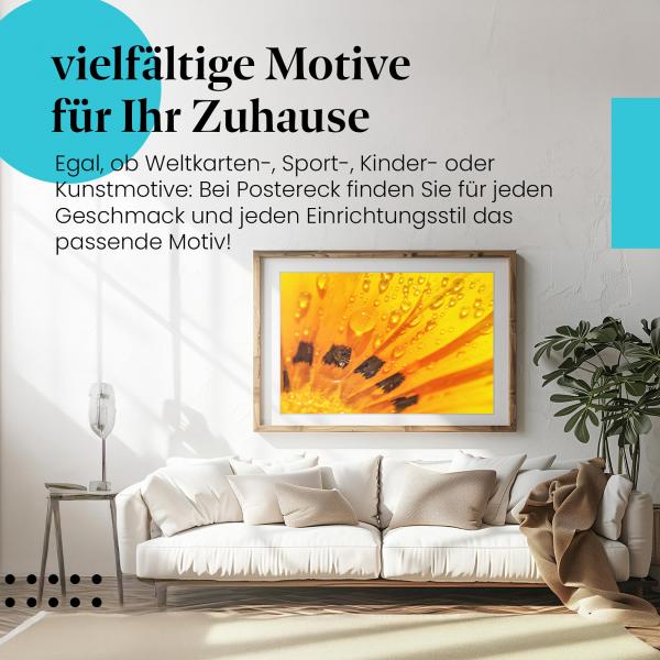 Dieses Leinwandbild mit der Blume und den Tautropfen ist ein Hingucker und bringt Sommerlaune in Ihre vier Wände.