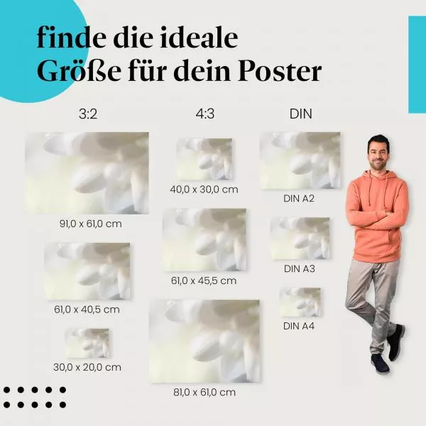 Blütenblätter | Postereck 3133 Blütenblätter | Postereck 3133