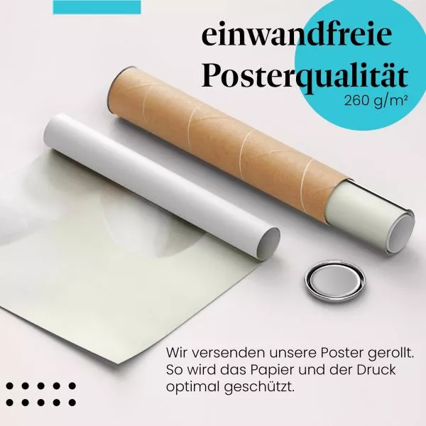 Blütenblätter | Postereck 3133 Blütenblätter | Postereck 3133