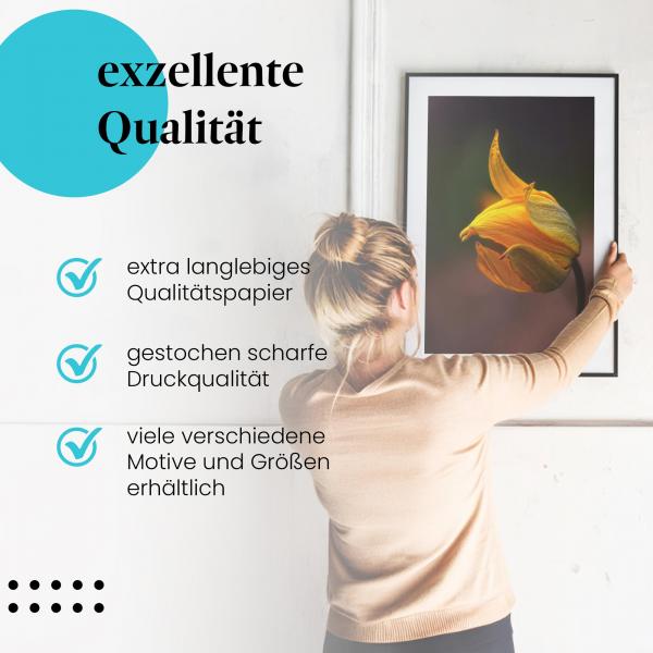 Gerahmtes Wandbild "Goldgelbe Blüte im Profil: Makroaufnahme" in verschiedenen Größen.