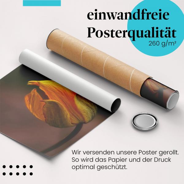 "Goldgelbe Blüte": Gerolltes Poster, Makroaufnahme.