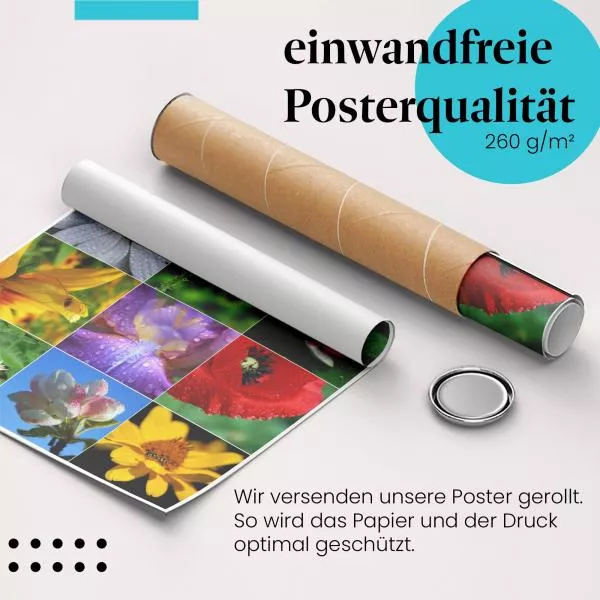Blütenpracht | Postereck 2309 Blütenpracht | Postereck 2309