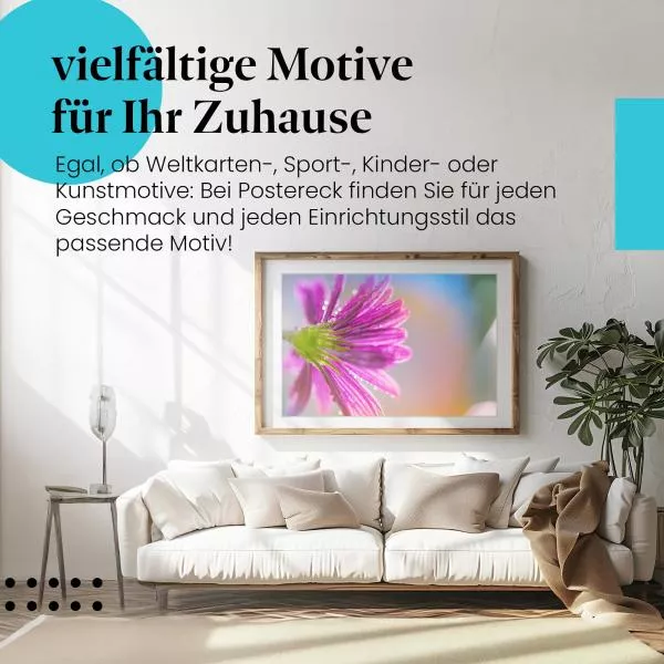 Lila Blüte: Tautropfen | Postereck 1365 Lila Blüte: Tautropfen | Postereck 1365
