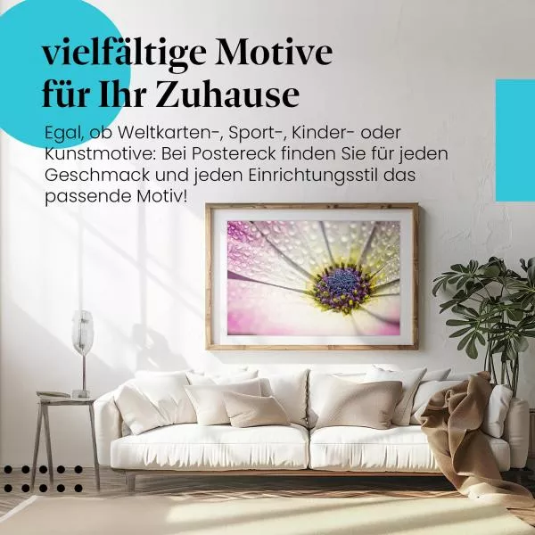 Blume mit Tautropfen | Postereck 3273 Blume mit Tautropfen | Postereck 3273