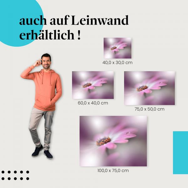 Blume & Tropfen: Leinwandbild. Rosa, Makro, Unschärfe, wähle deine Größe.