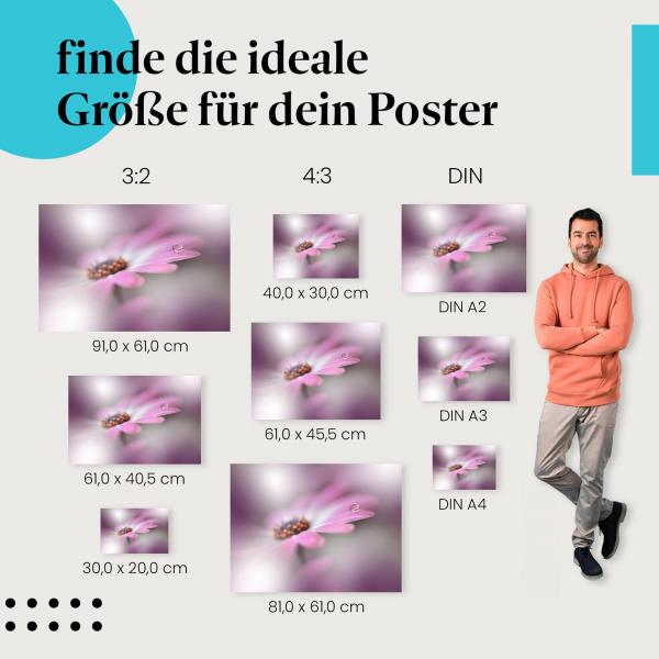 Blume & Tropfen, Poster: Rosa, Makro, Unschärfe, traumhaft.