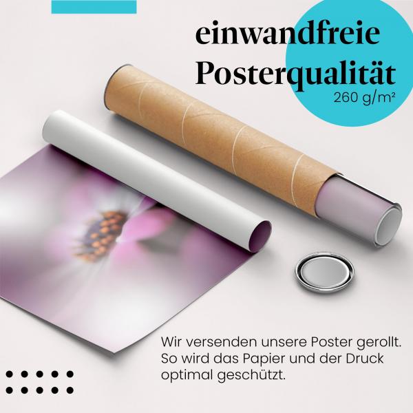 Gerolltes Poster "Blüte mit Tautropfen". Zarte Schönheit, sicher verpackt.